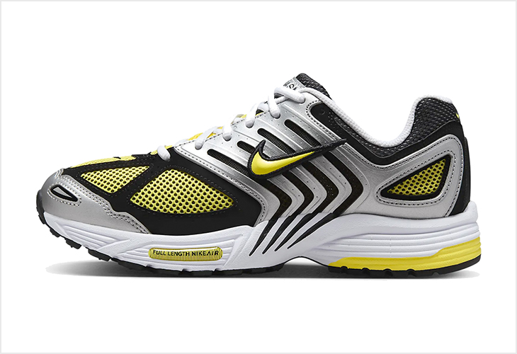 Nike Air Pegasus 2005